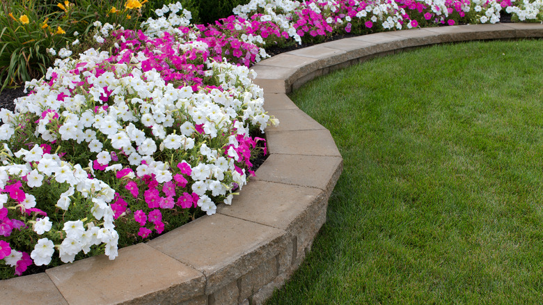 Flowerbed with stone wall