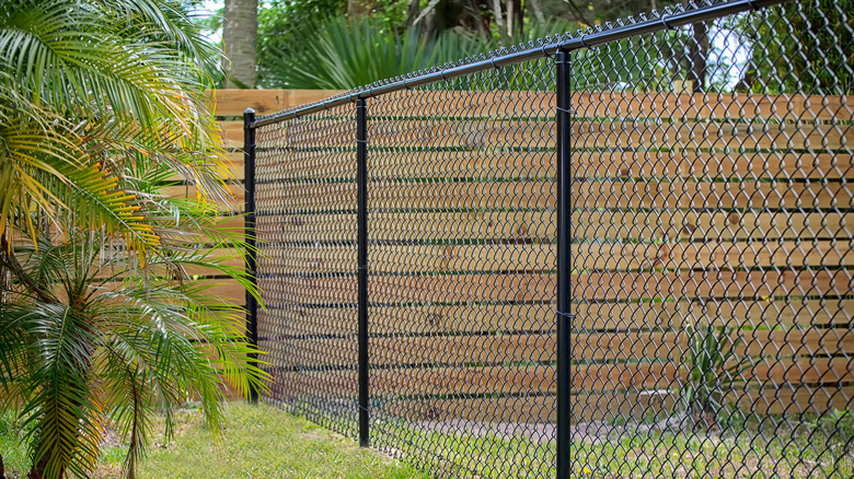 chain link fencing