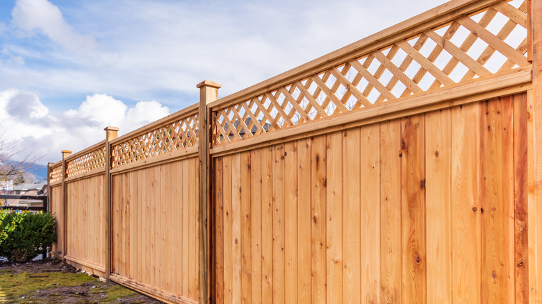 lattice topped wood fence