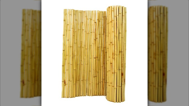 bamboo fencing