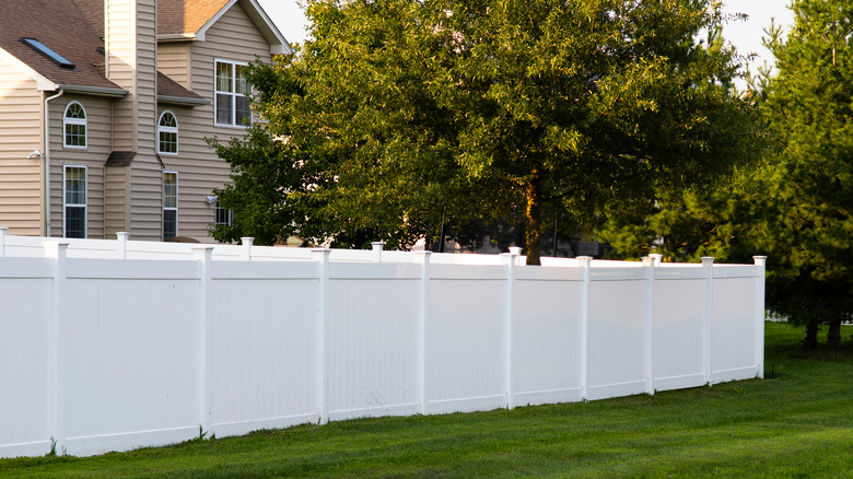 Modern home bordered by tall white vinyl fence