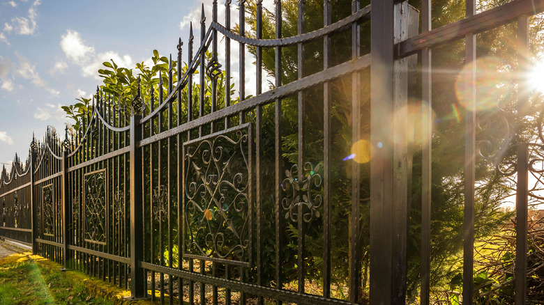 wrought iron fence