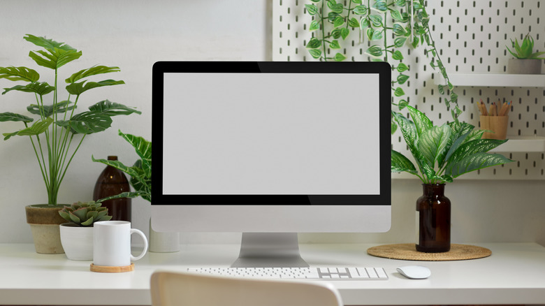 desk with many different plants