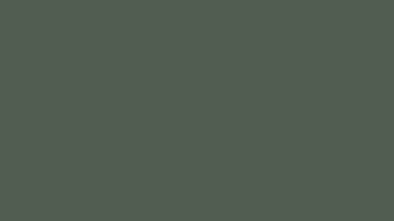 Dark army green paint swatch