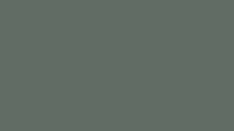 Dark gray green paint swatch