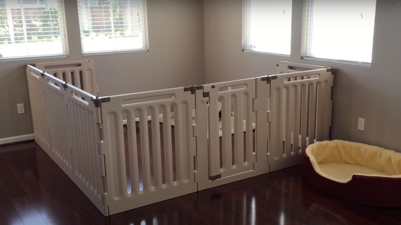 indoor animal playpen