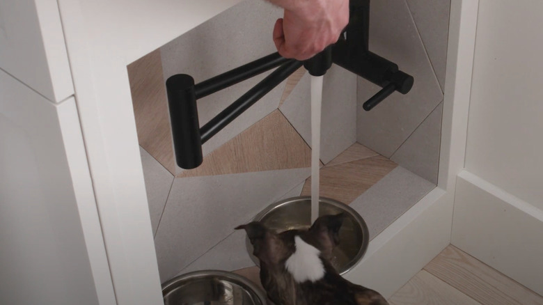 dog water bowl faucet