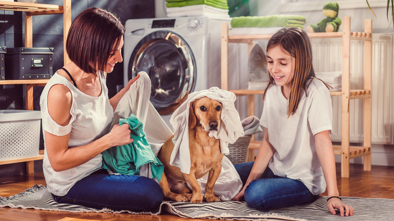 dog in laundry room