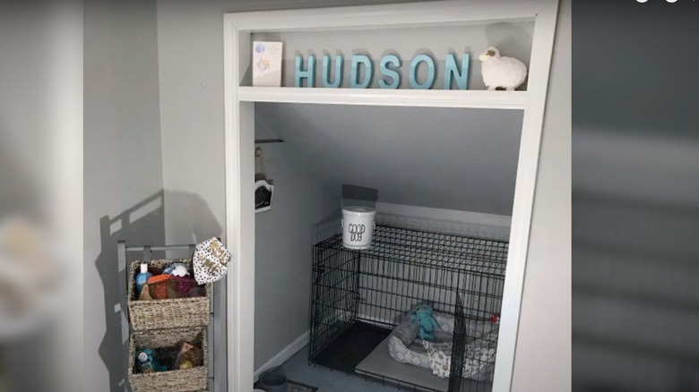 dog room with name