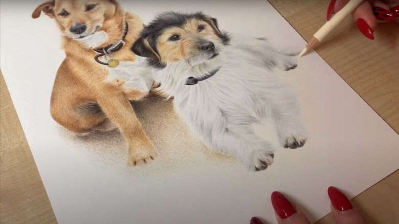 colored pencil pet portrait 