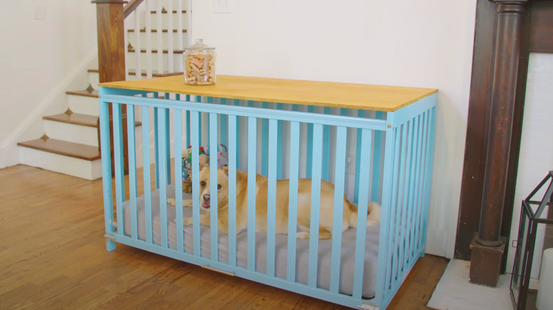 crib turned into dog crate