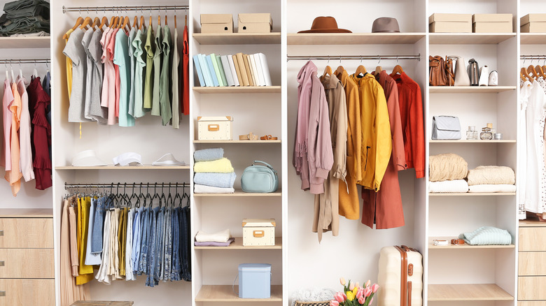 organized bedroom closet