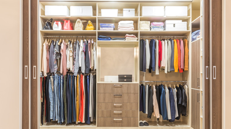 tall closet built-in