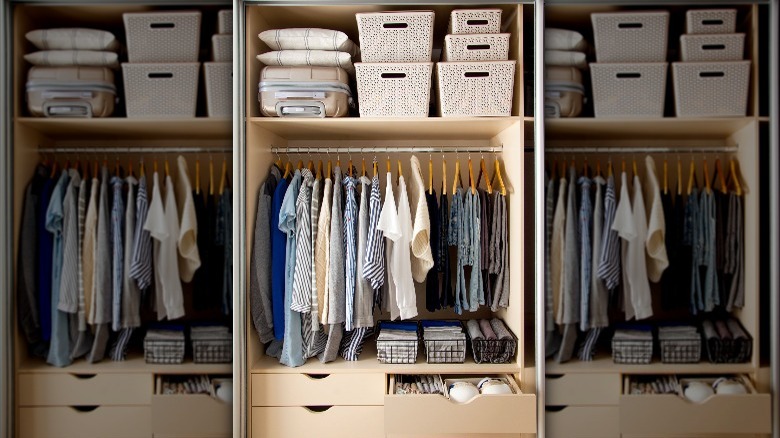 bedroom closet with bins