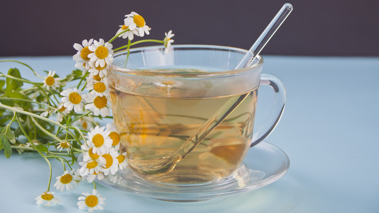 chamomile stems and tea