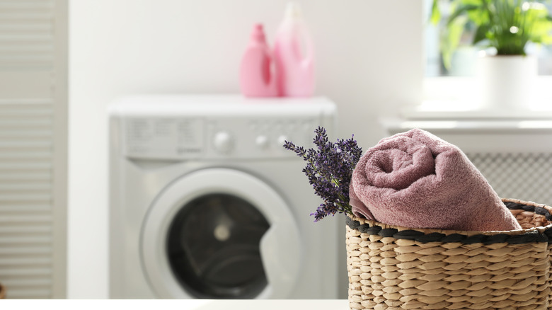 Lavender leaves in laundry room