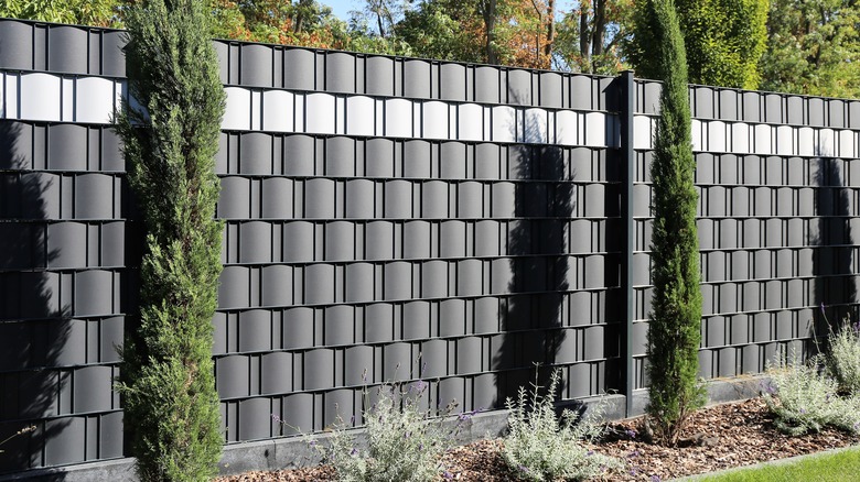 modern backyard fence