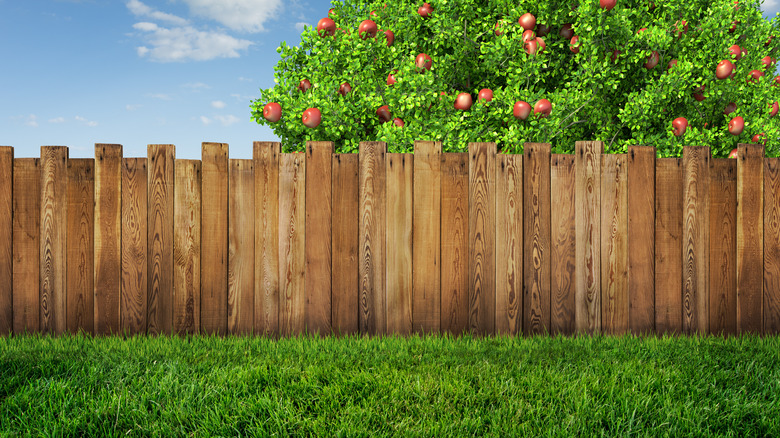 wooden wall privacy for backyard