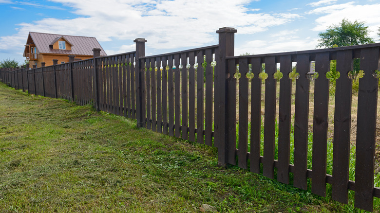 privacy for backyard on hill