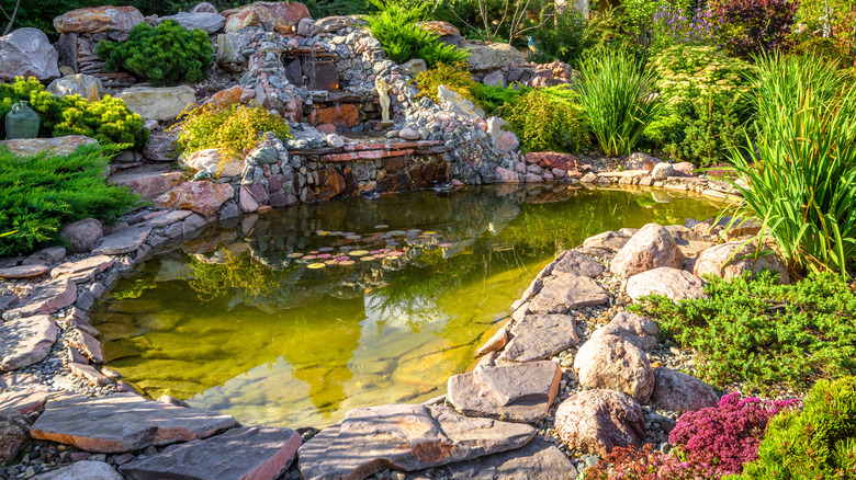 backyard pond with stone borders