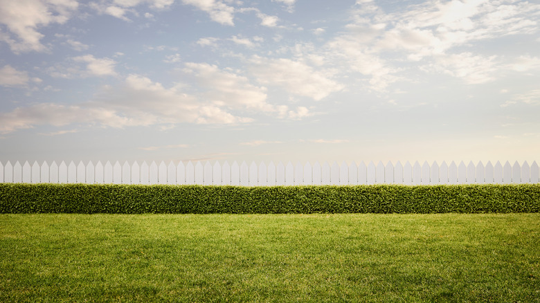 white picket fence