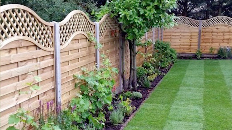 curvy wooden fence design