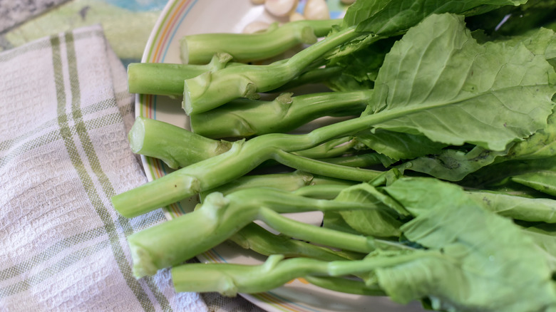 Chinese broccoli on a plate