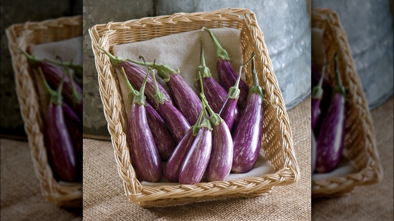 Fairytale eggplants