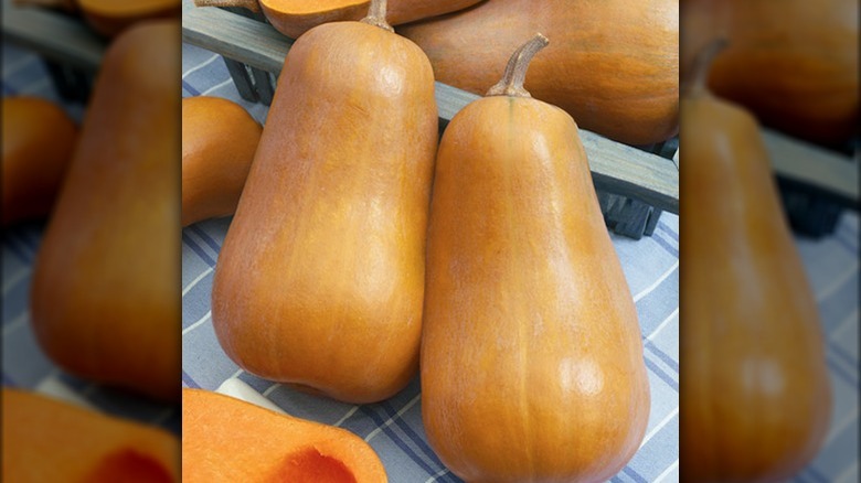 'Honey Baby' butternut squash