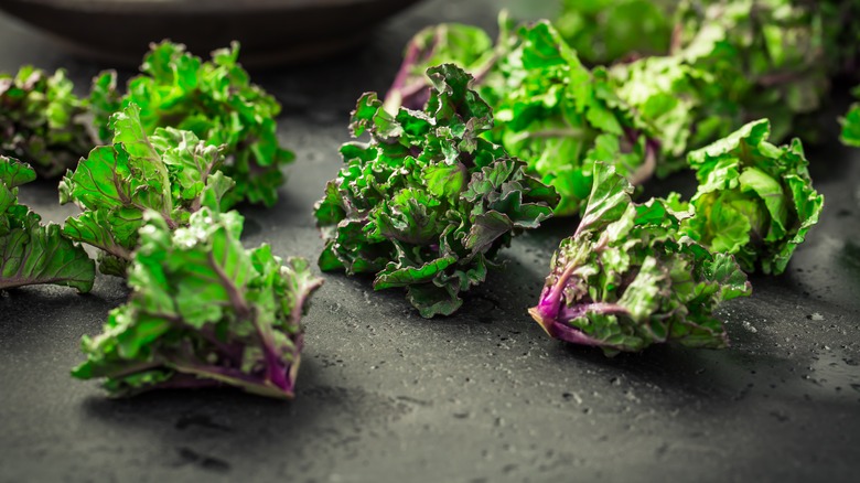 Kalettes on black table 