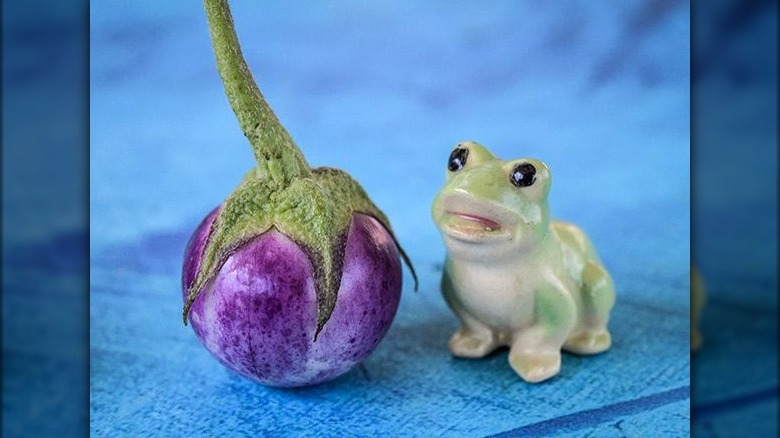 Tiny eggplant with ceramic frog