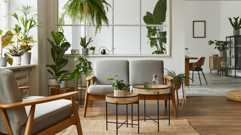 living room with plants