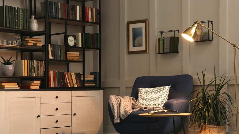 bookshelves in living room