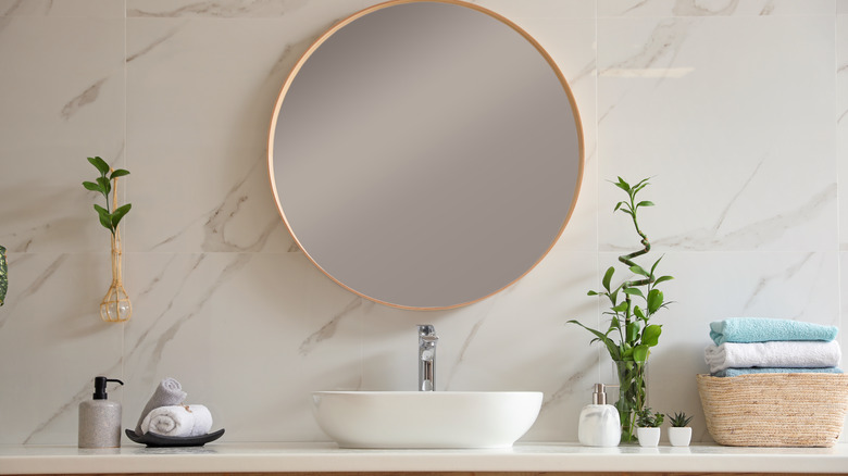 bathroom sink with plants