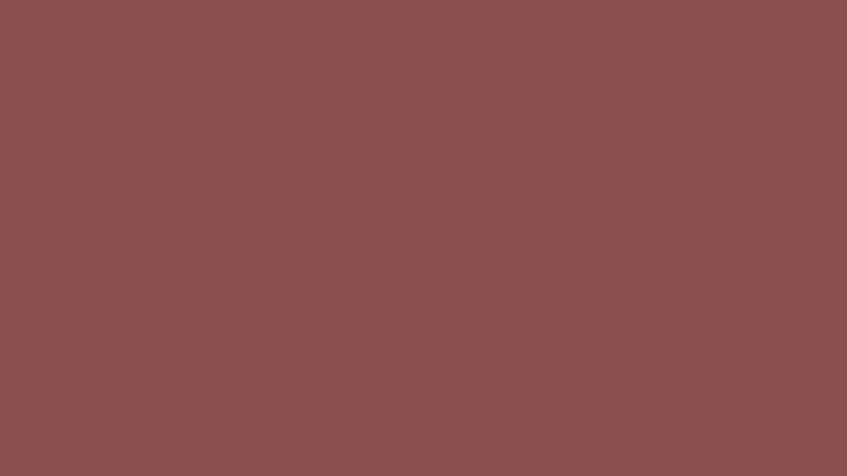 Flat dark red color swatch