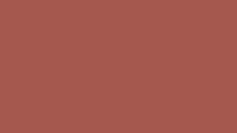 Warm red color swatch