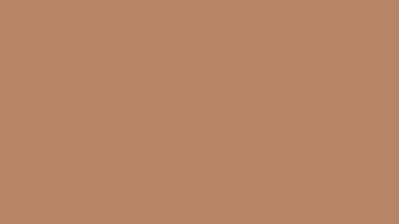 Orange toned brown color swatch