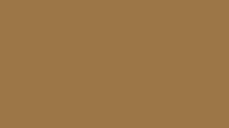 Medium toned brown color swatch