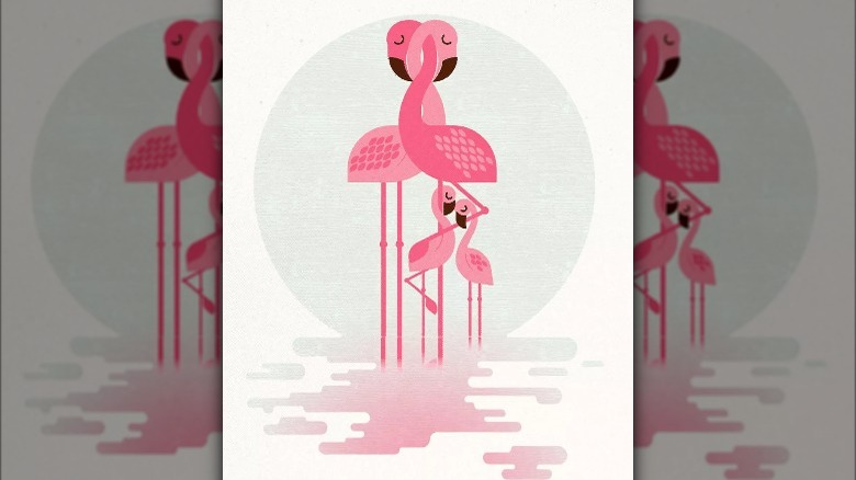 a family of flamingos