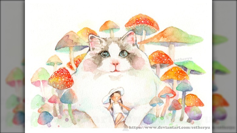 cat with mushrooms