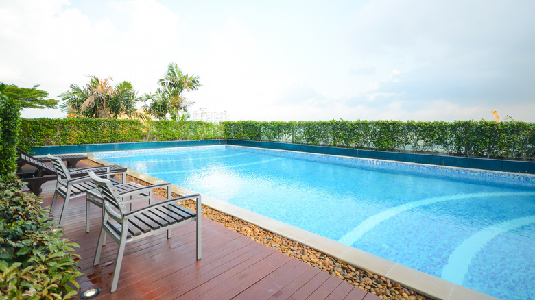 hedge around swimming pool