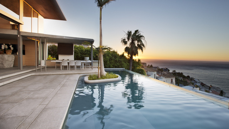 infinity pool with palm tree