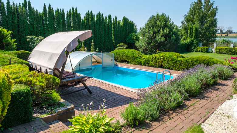 swimming pool on a beautiful garden