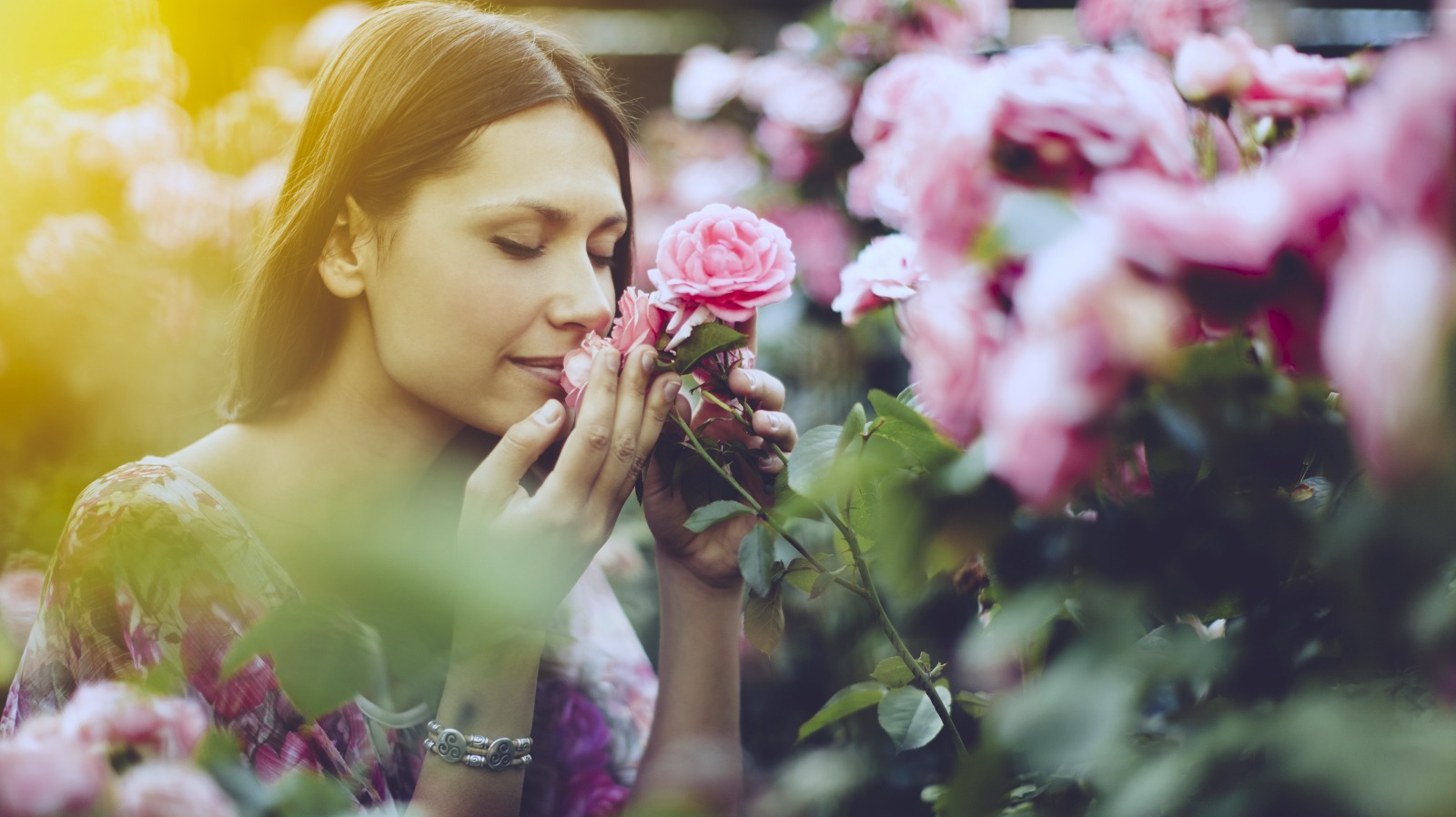 25 Rose Varieties That Will Make Your Garden Smell Heavenly