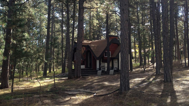 Colorado Springs cabin airbnb 