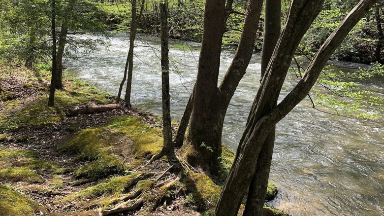 riverside Airbnb in West Virginia