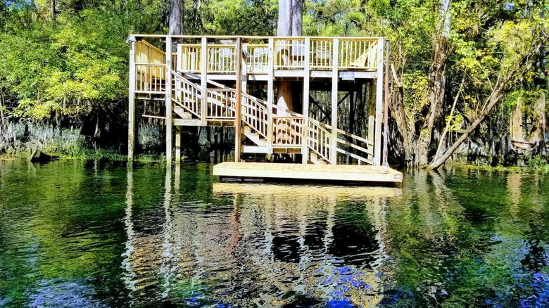 Airbnb on Ichetucknee River