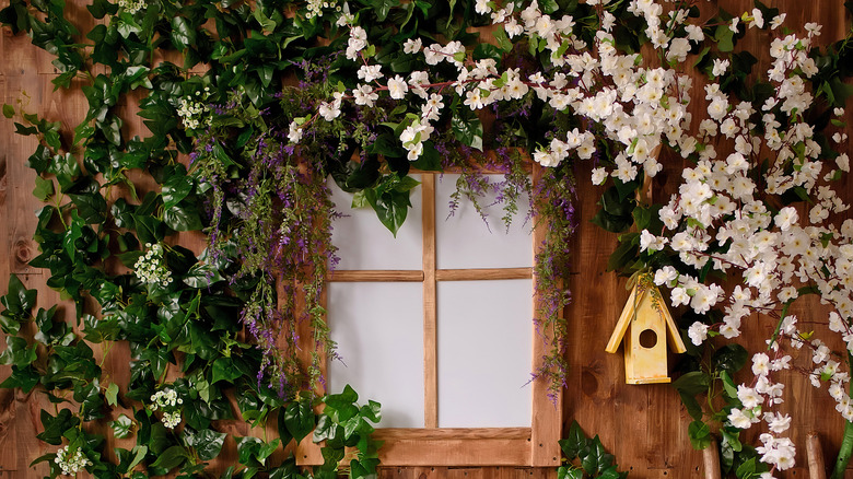 flowers surrounding a window