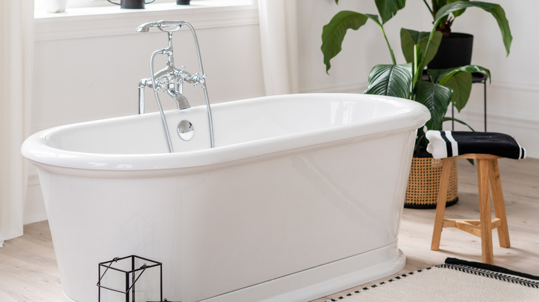 porcelain bathtub near plant