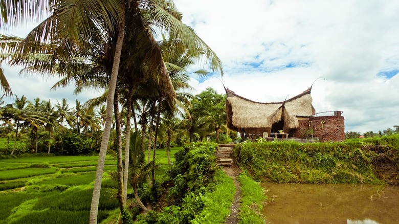 Bamboo hut in the distance